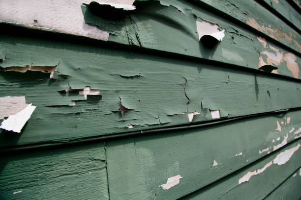 Affordable siding repair and maintenance services in Lemoore Station, CA