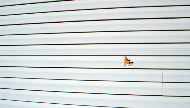 Best James Hardie Siding  in Lemoore Station, CA