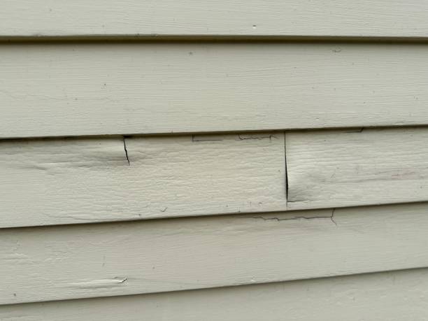 Best Stone Veneer Siding  in Lemoore Station, CA